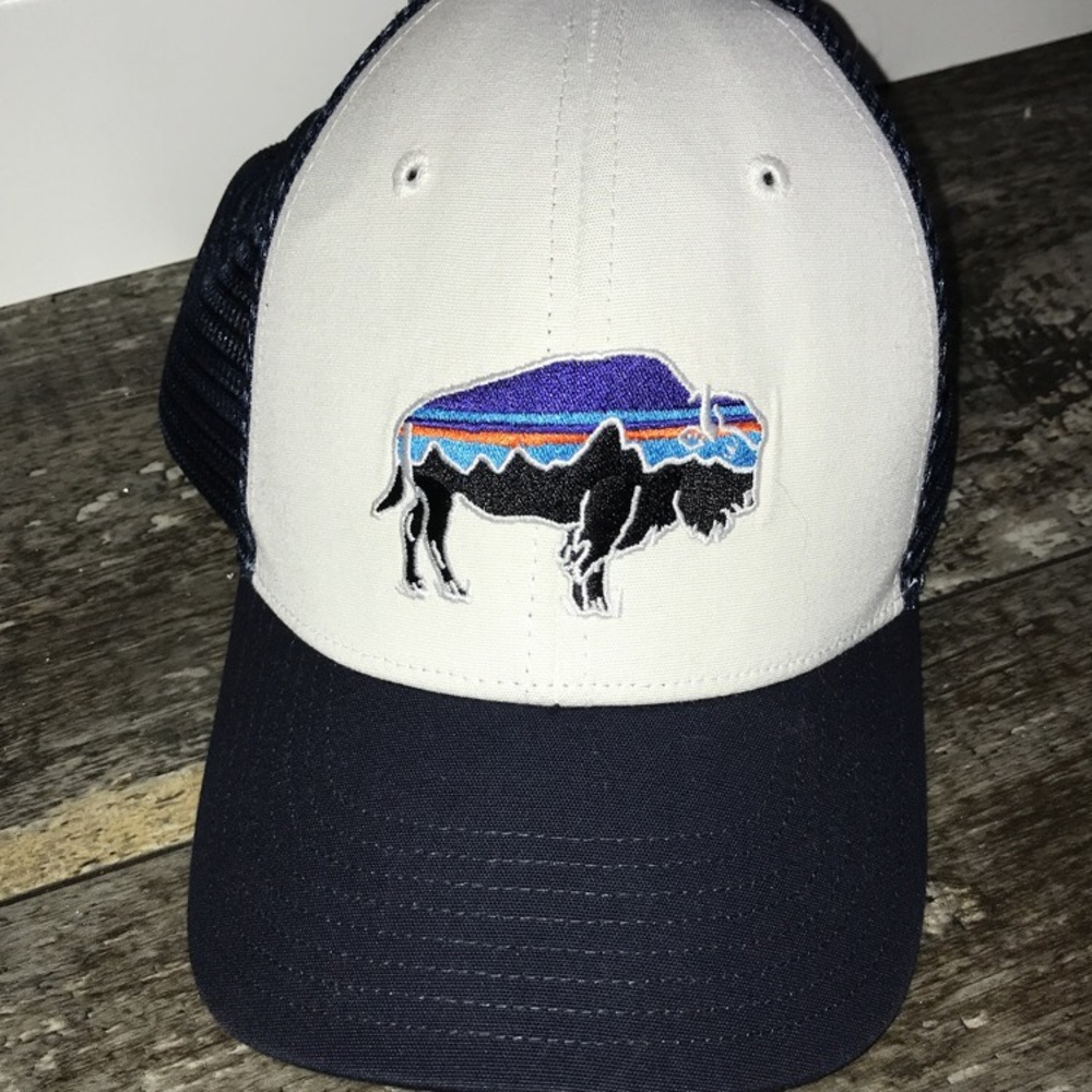 Brand New Patagonia Hat, navy mesh w/ white front.